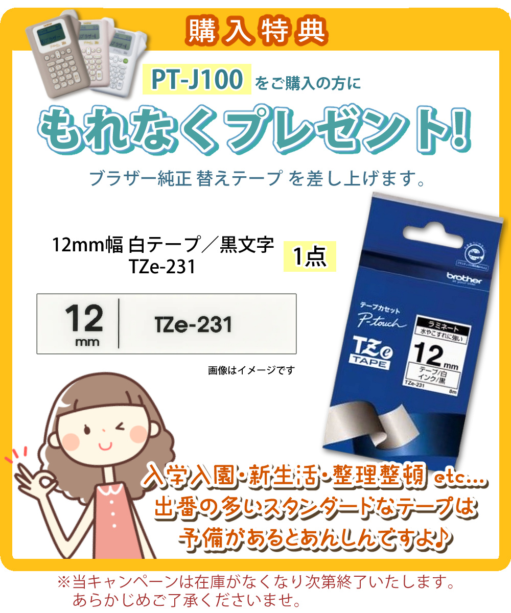 購入特典 TZe-231