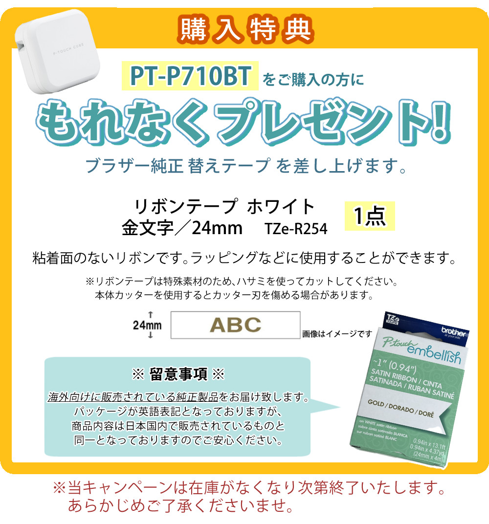 購入特典 TZe-R254