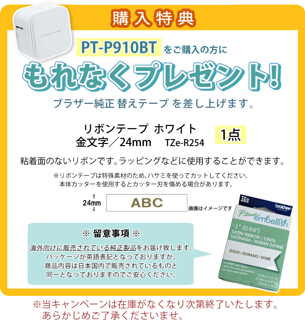 購入特典 TZe-R254