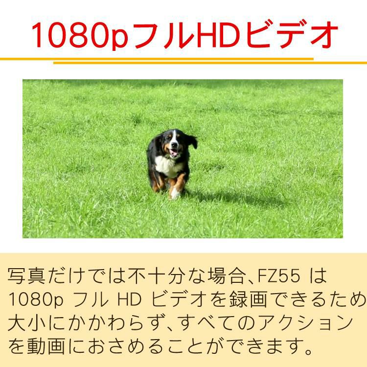 Kodak コダック デジタルカメラ FZ55 レッド/ブラック コンパクトデジタルカメラ コンデジ KODAK 5倍光学ズーム 充電池