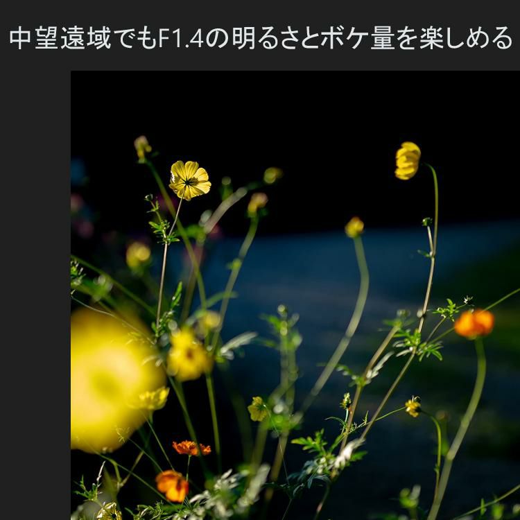 レンズ シグマ 56mm F1.4 DC DN C  ニコンZマウント用