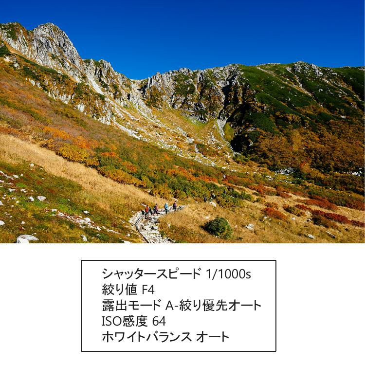 レビューでレンズキャッププレゼント シグマ 16mm F1.4 DC DN  C  ライカLマウント用