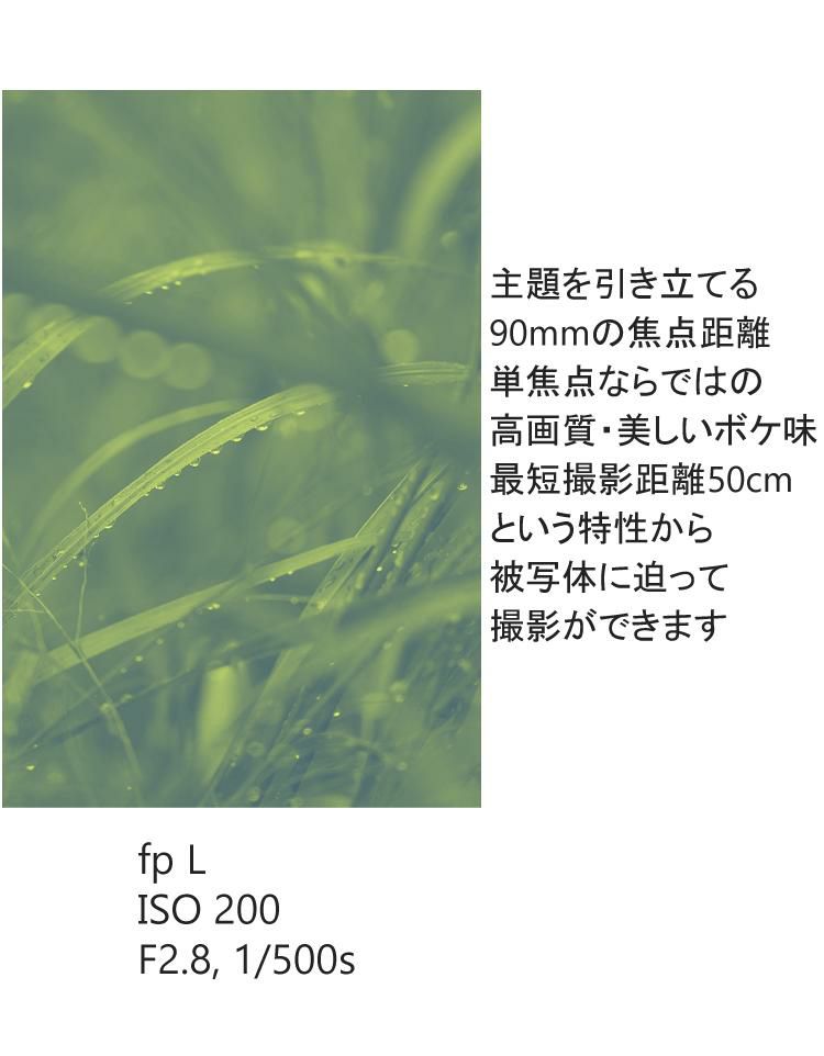 レンズ シグマ 90mm F2.8 DG DN C  ソニーEマウント用