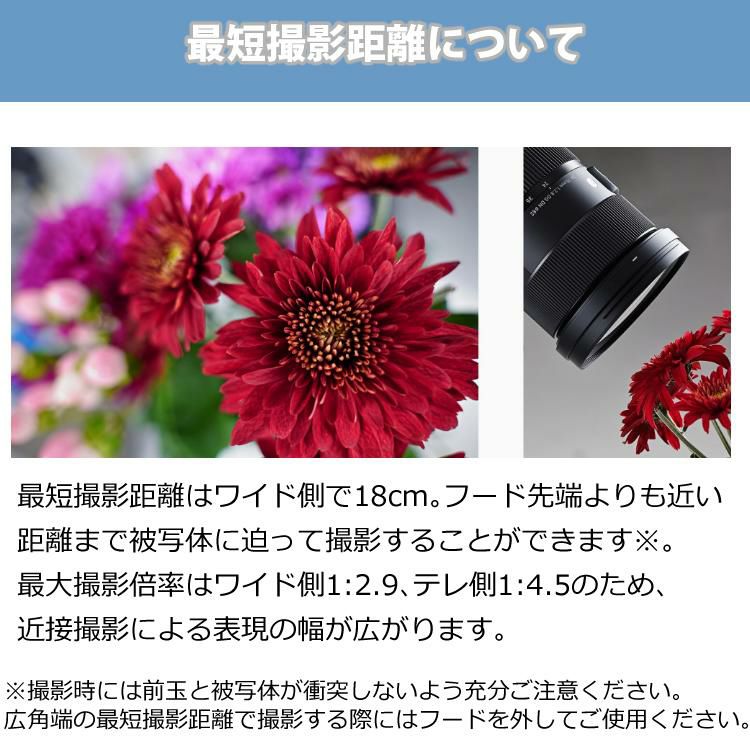 シグマ 24-70mm F2.8 DG DN A  ソニーEマウント