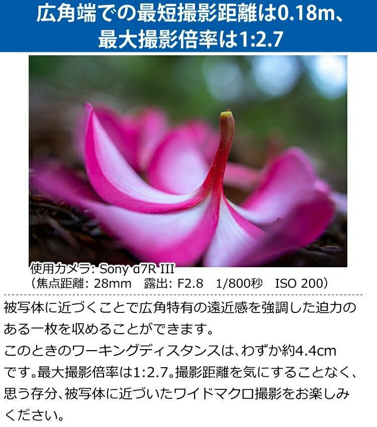 レビューでレンズキャッププレゼント タムロン 28-75mm F/2.8 Di III VXD G2 ソニーEマウント用 A063S