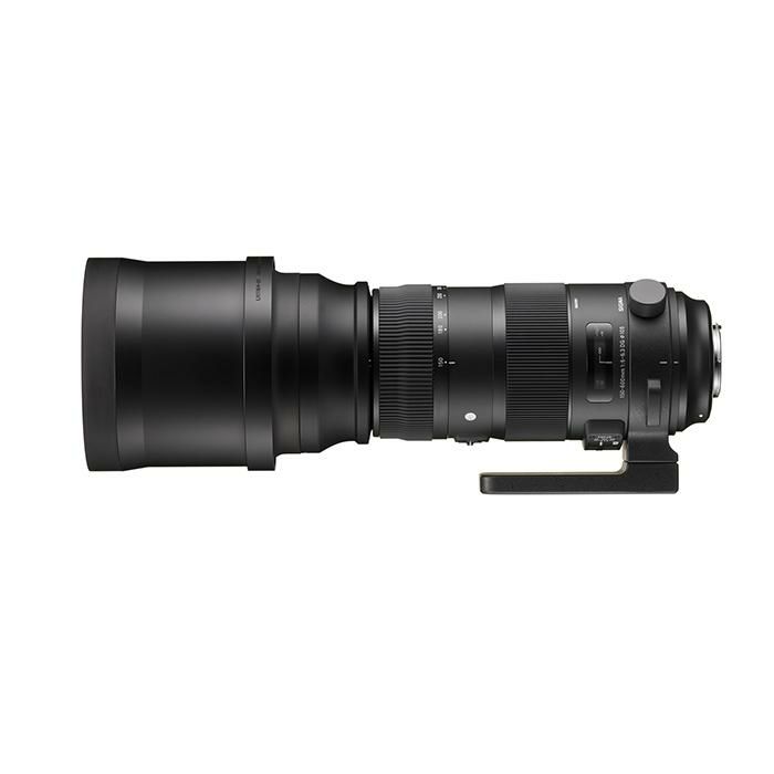 レンズ シグマ 150-600mm F5-6.3 DG OS HSM S  キヤノンマウント用