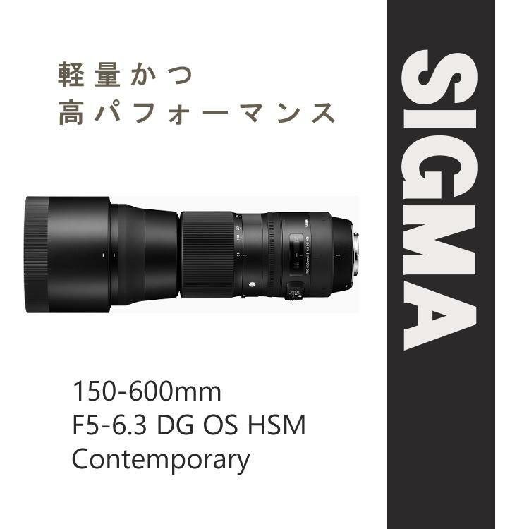 【レンズ】シグマ 150-600mm F5-6.3 DG OS HSM（C） テレコンバーターキット キヤノンマウント用