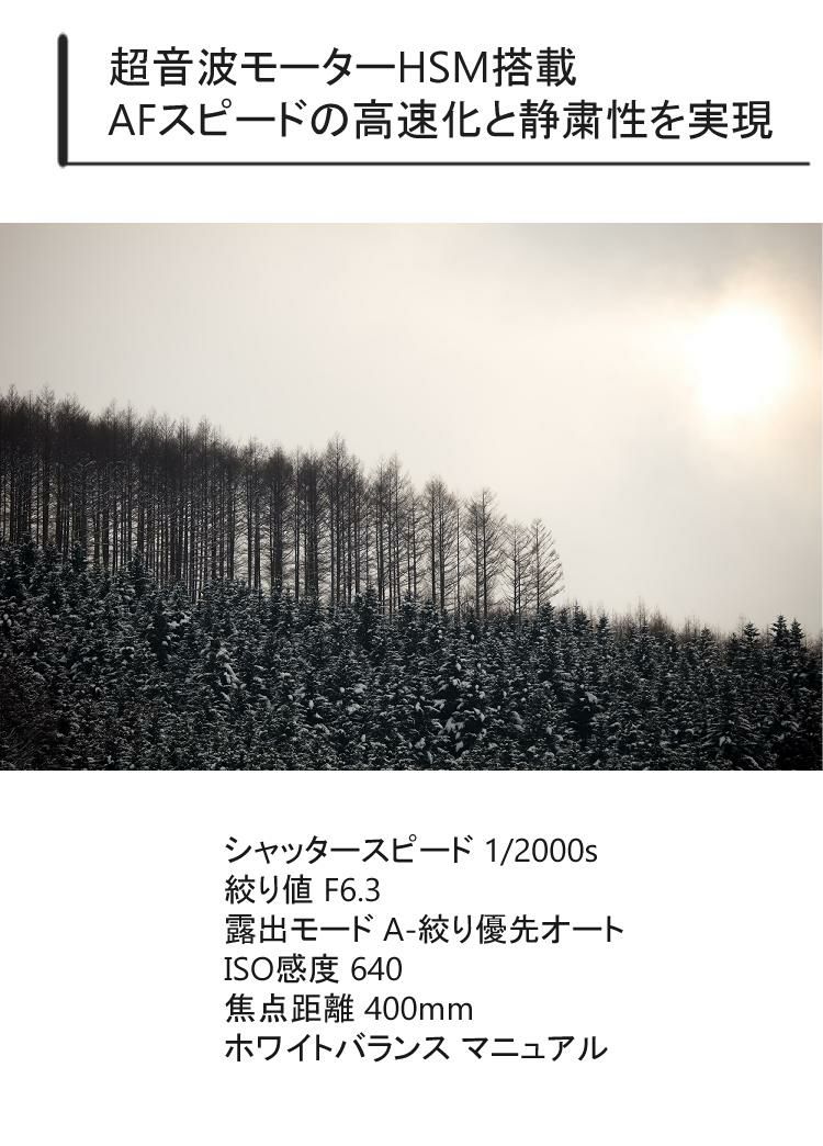 レビューでレンズキャッププレゼント シグマ 100-400mm F5-6.3 DG OS HSM  C  キヤノンマウント用