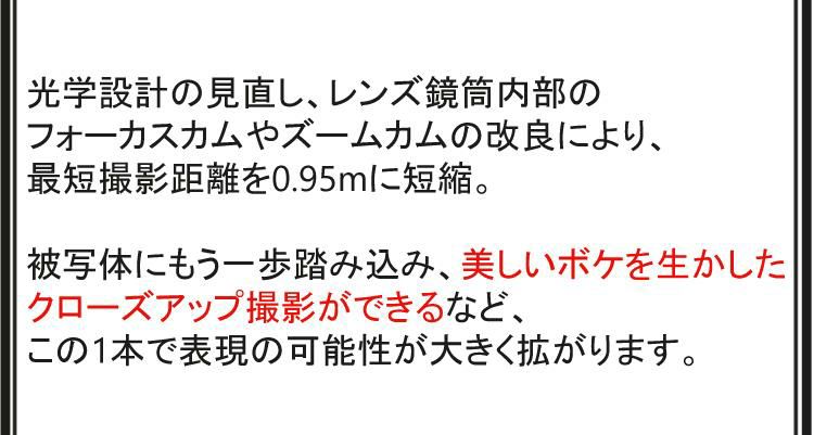 レビューでレンズキャッププレゼント タムロン SP 70-200mm F/2.8 Di VC USD G2 ニコンマウント用 A025N