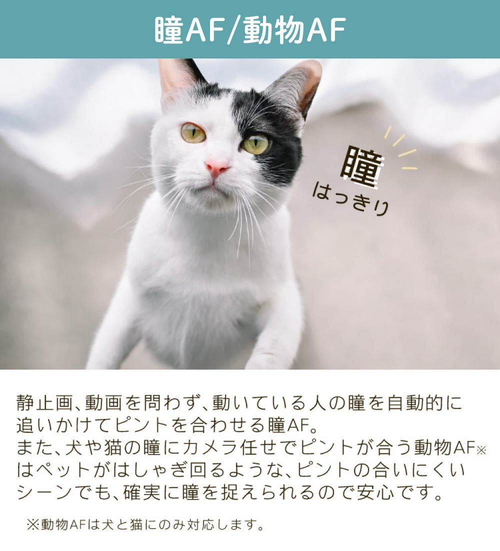 レビューでホットシュープレゼント  Special Editionキット＆便利グッズ付6点セット ニコン Nikon ミラーレス一眼カメラ  Z fc シルバー 28mm f/2.8 Special Edition キット APS-Cサイズ 2088万画素 Wi-Fi ゼット Zfc シルバー ラッピング不可