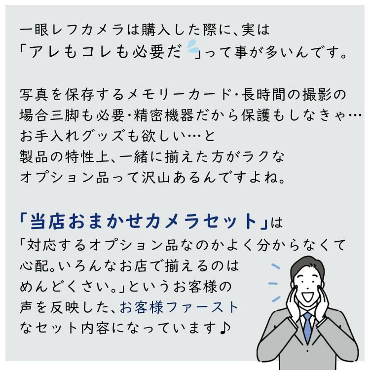 レビューでホットシューカバープレゼント  ミドルクラス 初級者～中級者 向け！8点セット <br>ニコン D7500 レンズキット Wi-Fi内蔵 Bluetooth内蔵 タッチパネル チルト式 Nikon 運動会 発表会 卒業式 本格志向 色鮮やか レンズ1本付 ラッピング不可