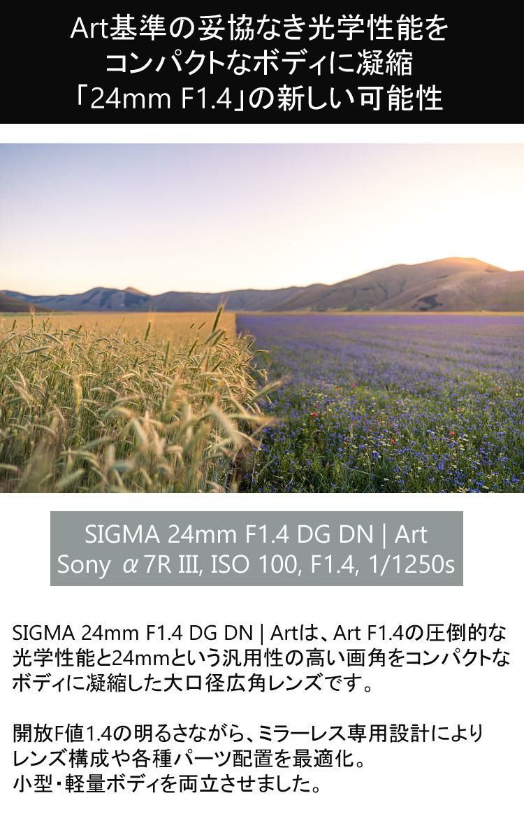 レビューでレンズキャッププレゼント  バッグ付き シグマ 24mm F1.4 DG DN  A  ソニーEマウント用