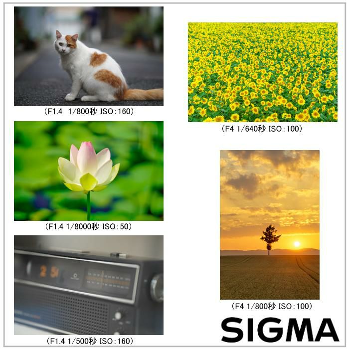 レンズ保護フィルター付！  レンズ シグマ 85mm F1.4 DG DN A  ソニーEマウント用