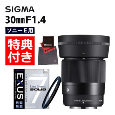 強化ガラス保護フィルターセット  レンズ シグマ 30mm F1.4 DC DN C  ソニーEマウント用＆マルミ EXUS Lens Protect SOLID