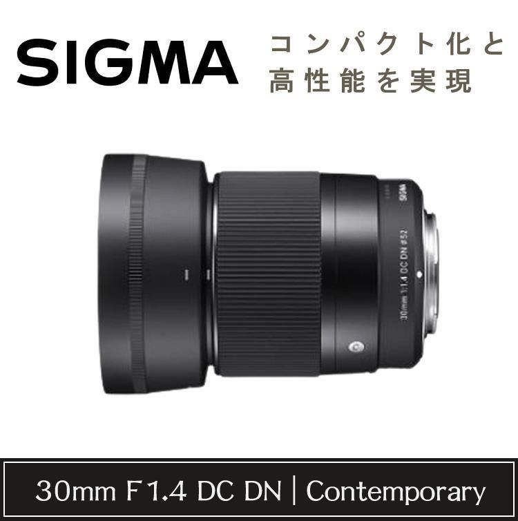 強化ガラス保護フィルターセット  レンズ シグマ 30mm F1.4 DC DN C  ソニーEマウント用＆マルミ EXUS Lens Protect SOLID