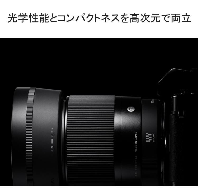 強化ガラス保護フィルターセット  レンズ シグマ 30mm F1.4 DC DN C  ソニーEマウント用＆マルミ EXUS Lens Protect SOLID