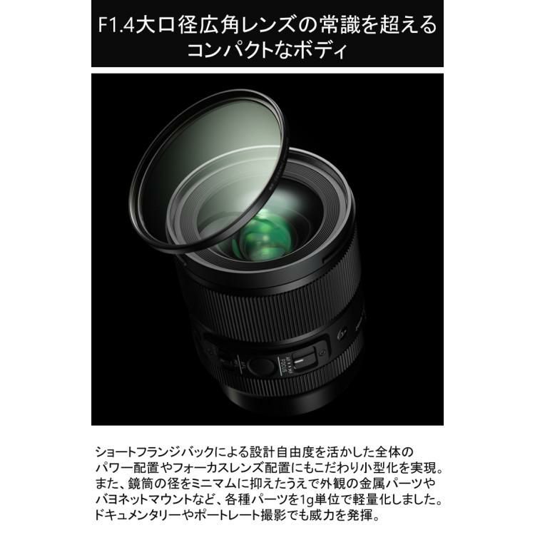 レビューでレンズキャッププレゼント  ケンコー 偏光 フィルターセット シグマ 24mm F1.4 DG DN A ライカLマウント用