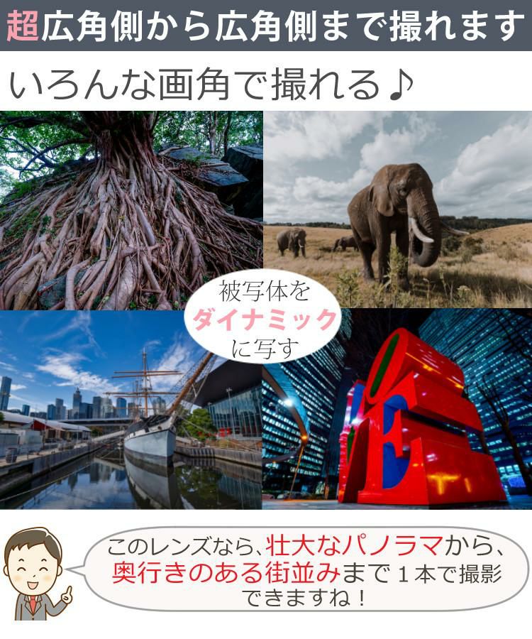 レビューでプレゼント  バッグ付き タムロン 11-20mm F/2.8 Di III-A RXD ソニーEマウント用 B060