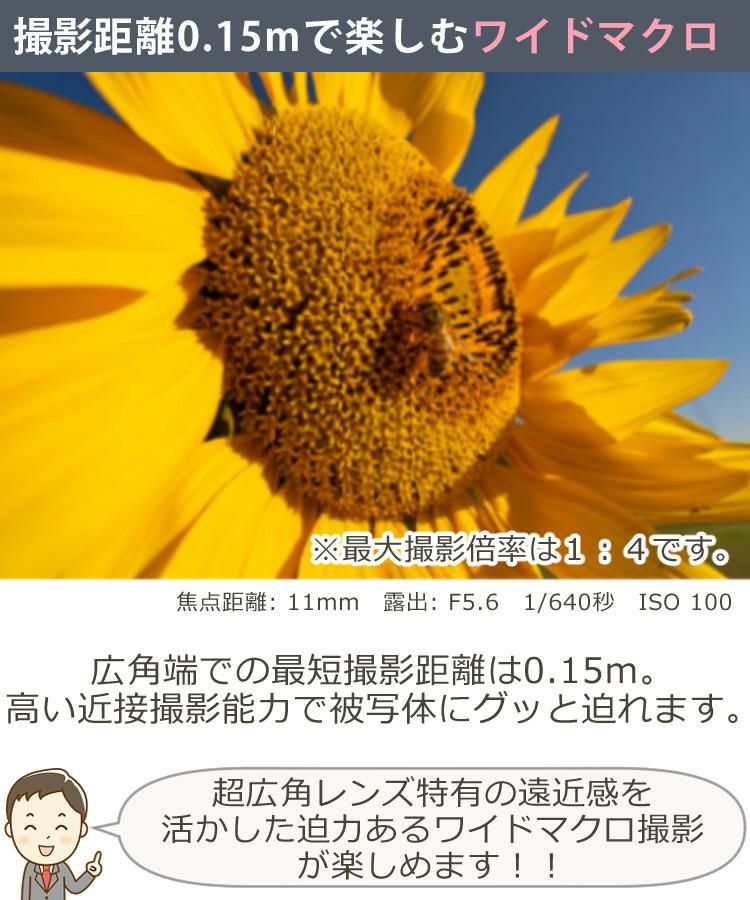 レビューでプレゼント  バッグ付き タムロン 11-20mm F/2.8 Di III-A RXD ソニーEマウント用 B060