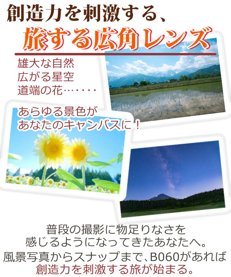 レビューでプレゼント  レンズ保護フィルター付 タムロン 11-20mm F/2.8 Di III-A RXD ソニーEマウント用 B060