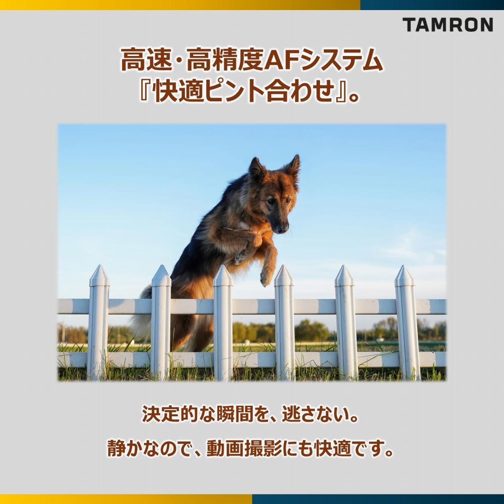 レビューでプレゼント タムロン 28-75mm F2.8 Di III VXD G2 フルサイズ ソニーEマウント用  バッグ付き  A063S