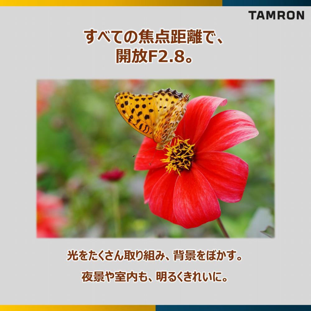レビューでレンズキャッププレゼント  レンズ保護フィルター付！ タムロン 28-75mm F2.8 Di III VXD G2 ソニーEマウント用 A063S