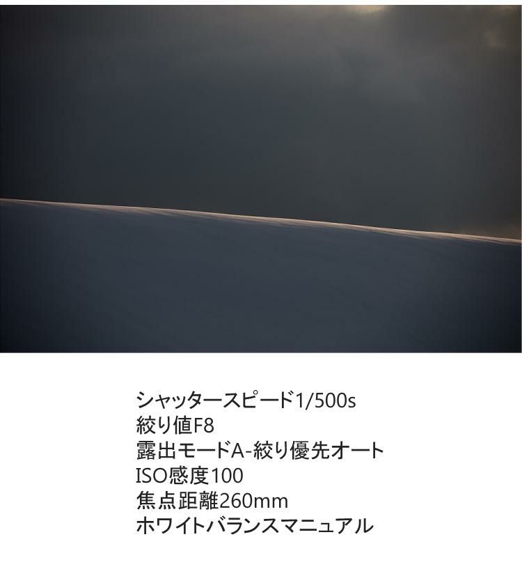 レビューでレンズキャッププレゼント  レンズ保護フィルター付 シグマ 100-400mm F5-6.3 DG OS HSM C  キヤノンマウント用