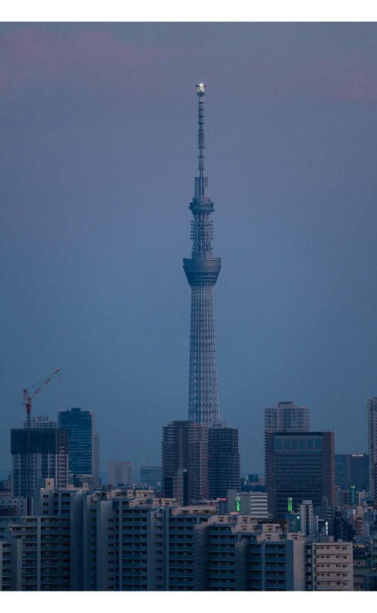 レビューでレンズキャッププレゼント  マルミ偏光フィルターセット シグマ 100-400mm F5-6.3 DG DN OS  C  Lマウント用