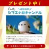 レビューでレンズキャッププレゼント  ケンコー 偏光フィルターセット タムロン 28-200mm F2.8-5.6 Di III RXD ソニーEマウント用 A071SF