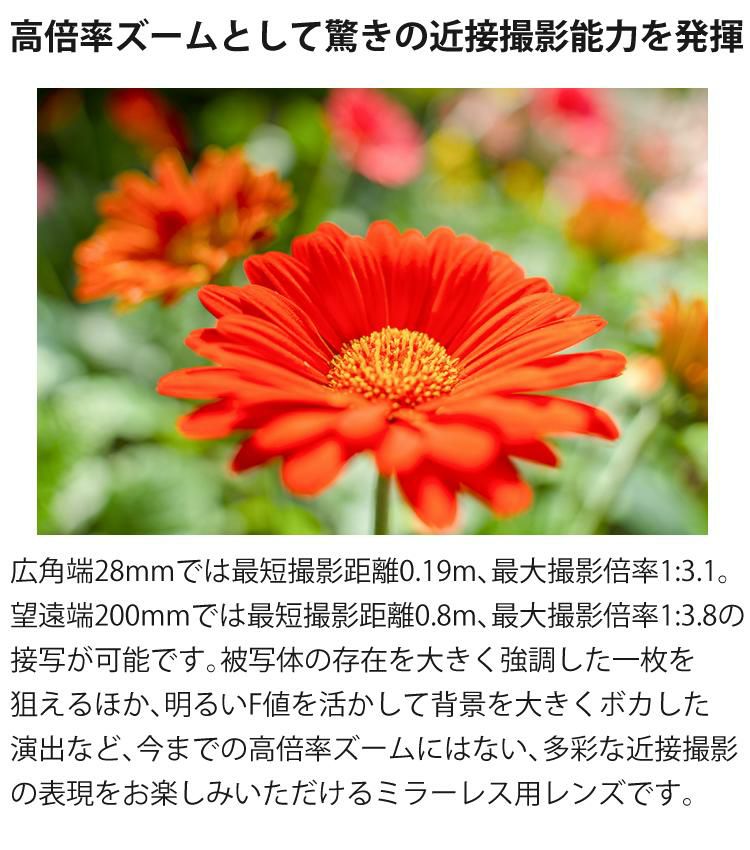 レビューでレンズキャッププレゼント  ケンコー 偏光フィルターセット タムロン 28-200mm F2.8-5.6 Di III RXD ソニーEマウント用 A071SF