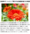 レビューでレンズキャッププレゼント  ケンコー 偏光フィルターセット タムロン 28-200mm F2.8-5.6 Di III RXD ソニーEマウント用 A071SF