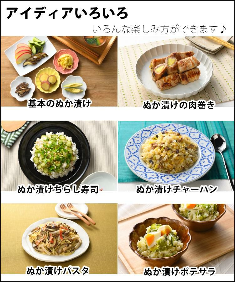 みたけ 発酵ぬかどこ付き  冷蔵庫用 オークス レイエ ぬか漬け容器 ぬかどこボックス LES3201 1kg 発酵ぬか床 対応サイズ しゃもじ付き スリム Leye 糠漬け 漬物