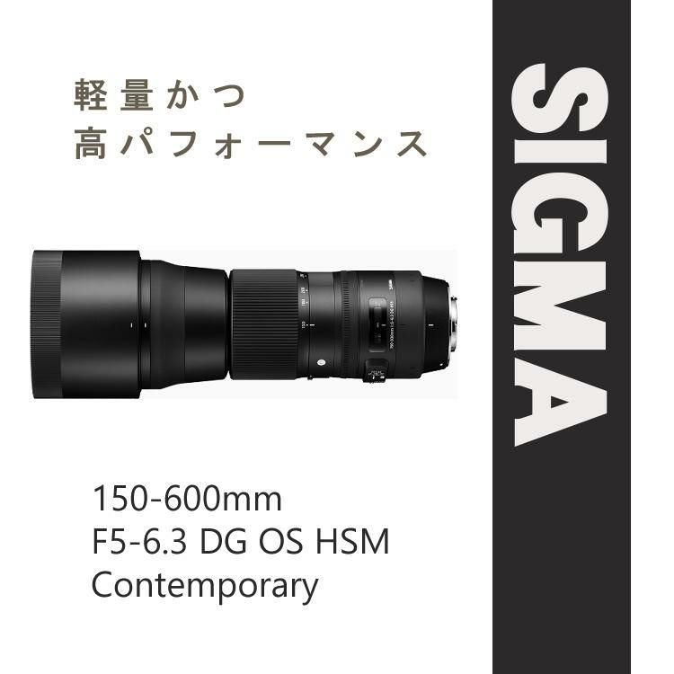 【レンズ】シグマ 150-600mm F5-6.3 DG OS HSM（C） テレコンバーターキット ニコンマウント用