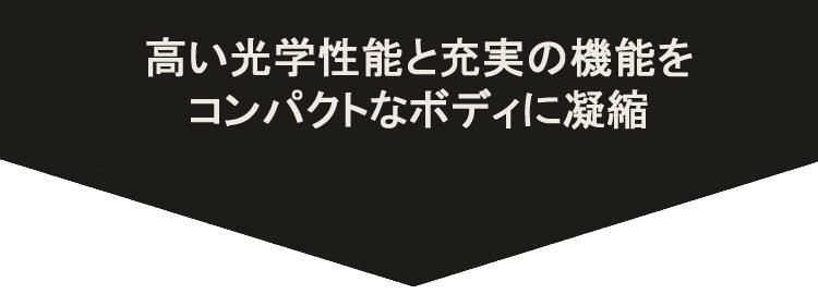 レビューでレンズキャッププレゼント シグマ 100-400mm F5-6.3 DG DN OS  C  ライカLマウント用