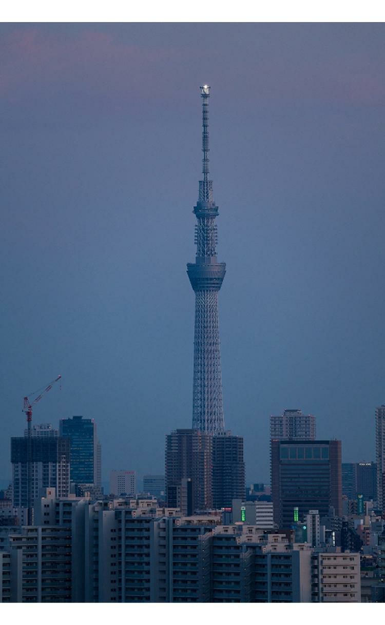 レビューでレンズキャッププレゼント シグマ 100-400mm F5-6.3 DG DN OS  C  ライカLマウント用