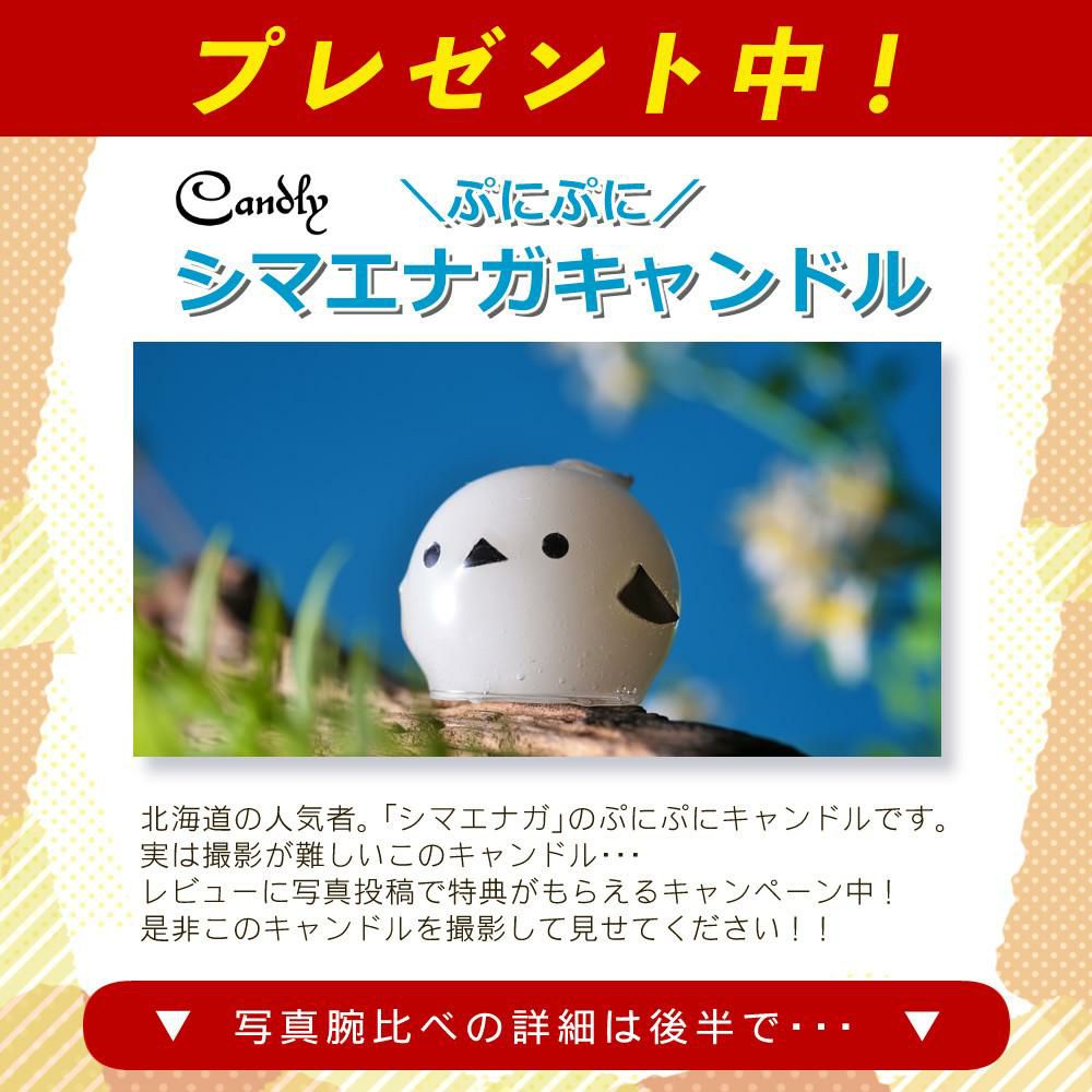 レビューでレンズキャッププレゼント  マルミ 偏光フィルターセット タムロン 17-28mm F2.8 Di III RXD ソニーEマウント用 A046SF