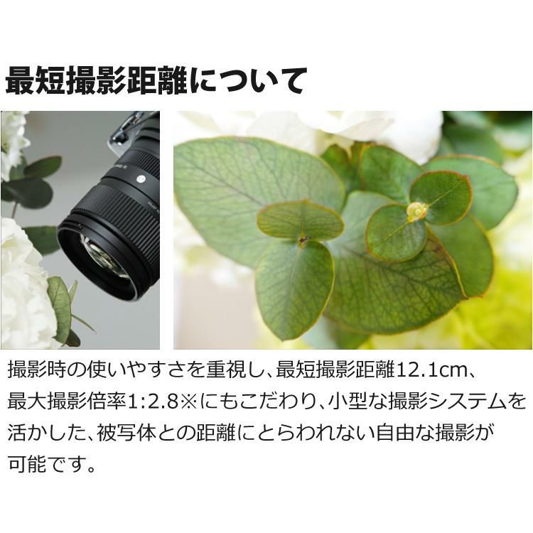 ケンコー ブラックミストフィルターセット  レンズ シグマ 18-50mm F2.8 DC DN C  Lマウント用