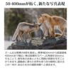 レビューでレンズキャッププレゼント  ケンコー 偏光フィルターセット タムロン 50-400mm F4.5-6.3 Di III VC VXD ソニーEマウント用 A067
