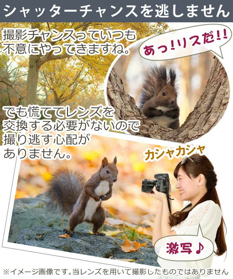 レビューでレンズキャッププレゼント  バッグ付き！ タムロン 18-400mm F/3.5-6.3 ニコンマウント用 B028N