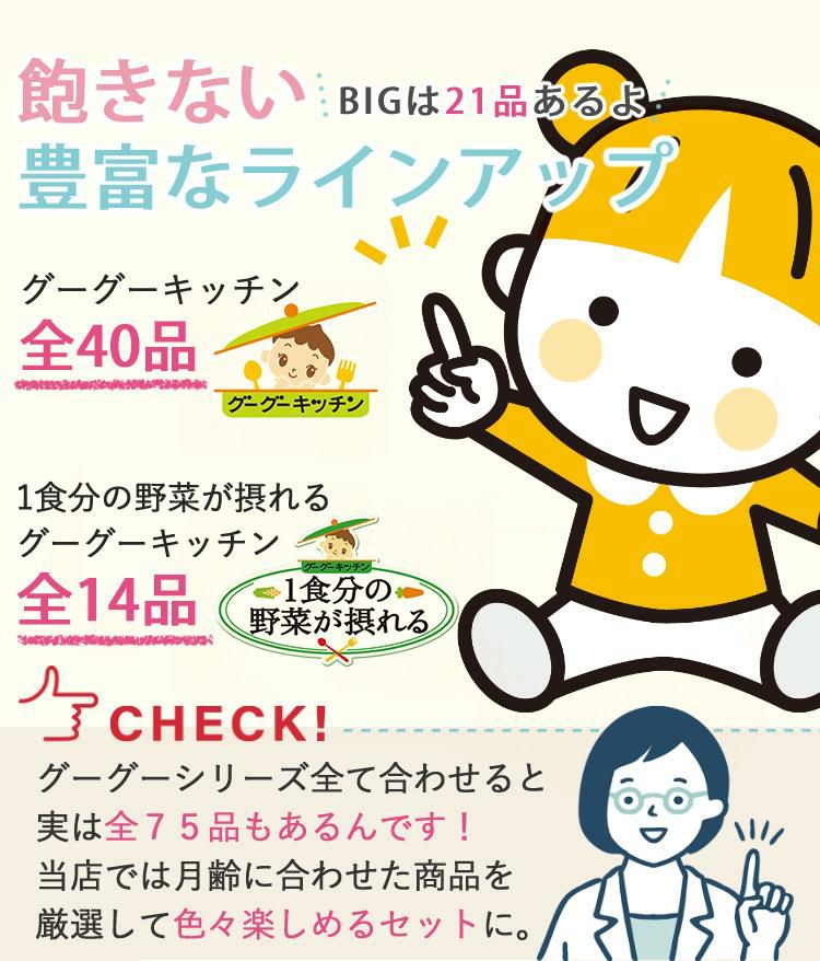 離乳食セット ベビーフード 離乳食 9ヶ月頃~ 和光堂 パウチ 23点セット  ラッピング不可  熨斗対応不可
