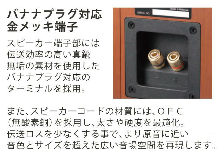 電池＆クロス付 ミニコンポ ケンウッド XK-330-N ゴールド KENWOOD/XK330N/Bluetooth/ブルートゥース/ハイレゾ/USB//NFC対応/AM・FMラジオ/ワイドFM/コンパクト/小さめ  ラッピング不可