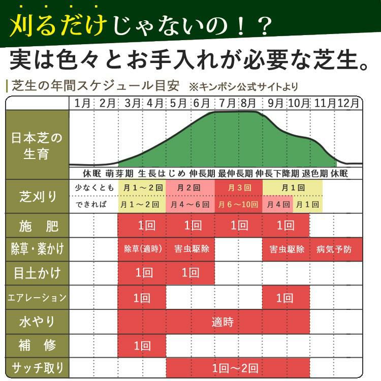 初心者安心 芝生お手入れ10点セット  キンボシ 手動 芝刈機 キンボシ ハッピーバーディモアー GSB-2000H  日本製・保証1年  他 芝生鋏 ローンパンチX ローンスパイクJr レーキ 等 エアレー