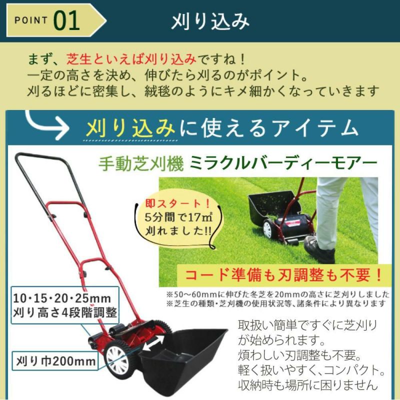 初心者安心 芝生お手入れ10点セット  キンボシ 手動 芝刈機 キンボシ ハッピーバーディモアー GSB-2000H  日本製・保証1年  他 芝生鋏 ローンパンチX ローンスパイクJr レーキ 等 エアレー