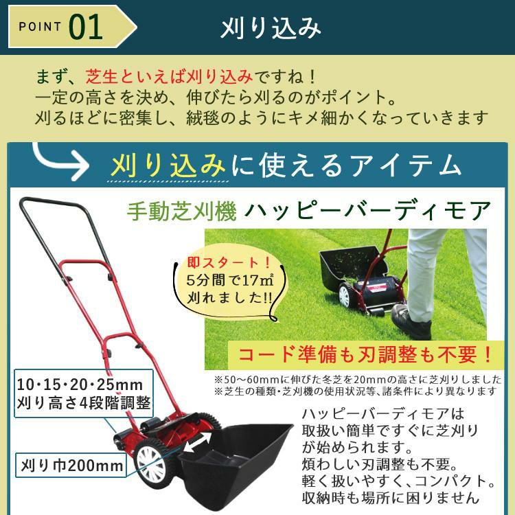 初心者安心 芝生お手入れ10点セット  キンボシ 手動 芝刈機 キンボシ ハッピーバーディモアー GSB-2000H  日本製・保証1年  他 芝生鋏 ローンパンチX ローンスパイクJr レーキ 等 エアレー