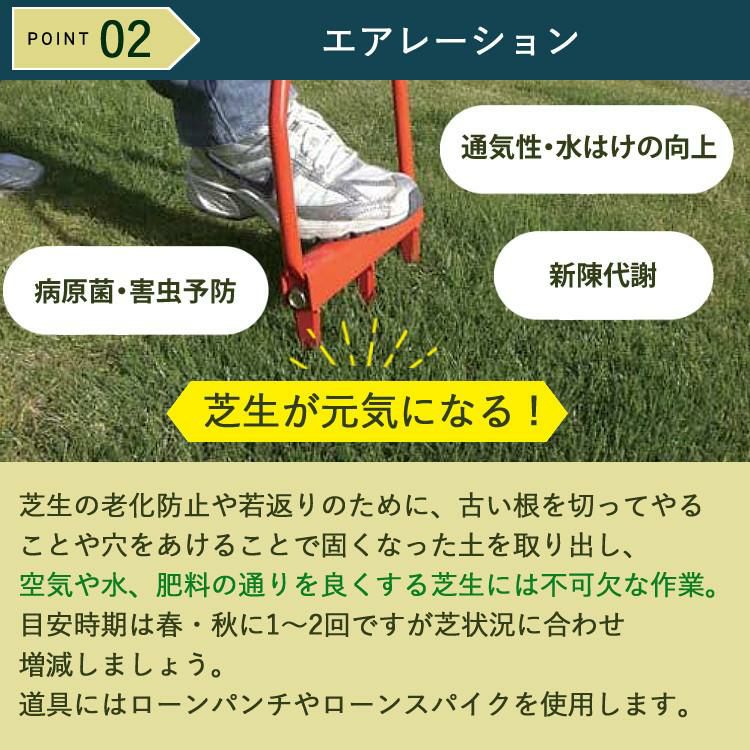 初心者安心 芝生お手入れ10点セット  キンボシ 手動 芝刈機 キンボシ ハッピーバーディモアー GSB-2000H  日本製・保証1年  他 芝生鋏 ローンパンチX ローンスパイクJr レーキ 等 エアレー