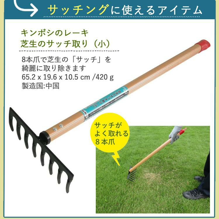 初心者安心 芝生お手入れ10点セット  キンボシ 手動 芝刈機 キンボシ ハッピーバーディモアー GSB-2000H  日本製・保証1年  他 芝生鋏 ローンパンチX ローンスパイクJr レーキ 等 エアレー