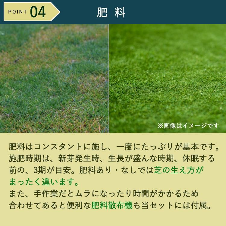 初心者安心 芝生お手入れ10点セット  キンボシ 手動 芝刈機 キンボシ ハッピーバーディモアー GSB-2000H  日本製・保証1年  他 芝生鋏 ローンパンチX ローンスパイクJr レーキ 等 エアレー