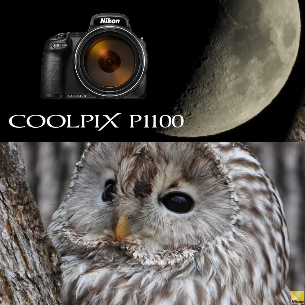 SD・レンズフィルター・クロス付 <br> 新品  Nikon ニコン コンパクトデジタルカメラ COOLPIX P1000 クールピクス 1605万画素 手ブレ補正 高画質 3000mm相当 光学125倍 超望遠ズーム 4K動画撮影 RAW NRW 対応 野鳥撮影 月 惑星 天体