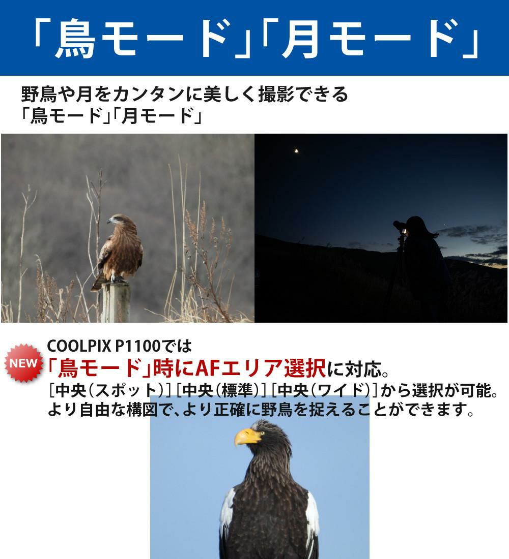 SD・レンズフィルター・クロス付 <br> 新品  Nikon ニコン コンパクトデジタルカメラ COOLPIX P1000 クールピクス 1605万画素 手ブレ補正 高画質 3000mm相当 光学125倍 超望遠ズーム 4K動画撮影 RAW NRW 対応 野鳥撮影 月 惑星 天体