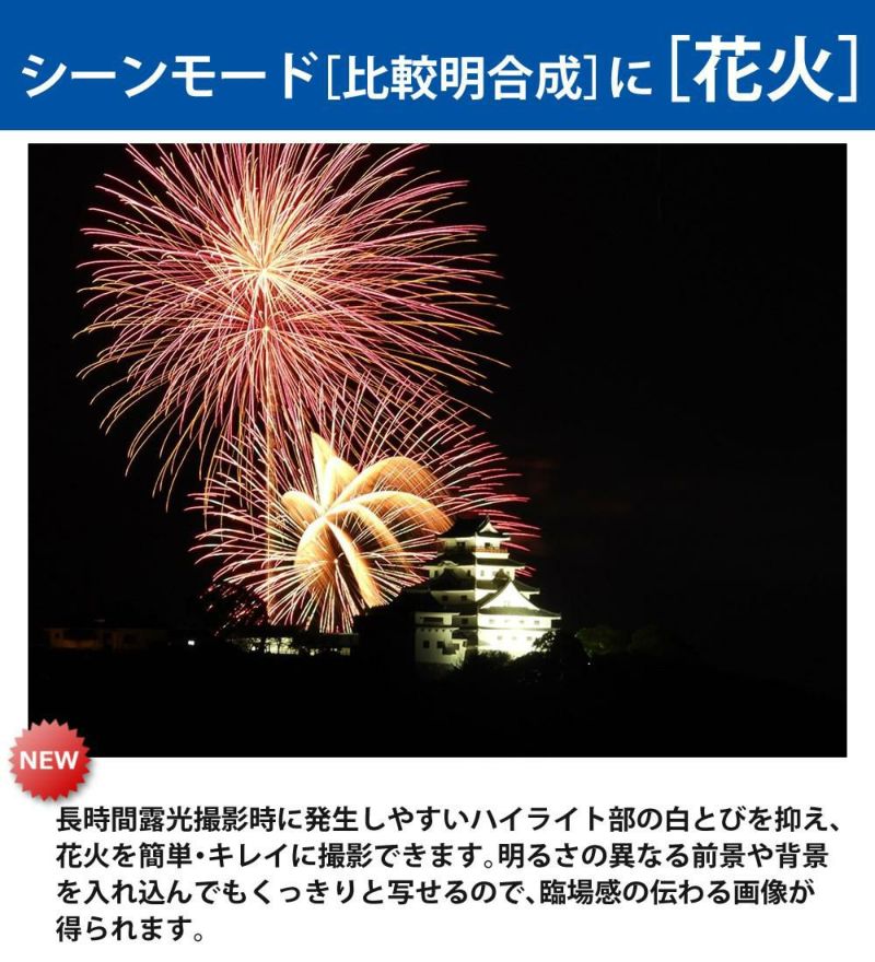SD・レンズフィルター・クロス付 <br> 新品  Nikon ニコン コンパクトデジタルカメラ COOLPIX P1000 クールピクス 1605万画素 手ブレ補正 高画質 3000mm相当 光学125倍 超望遠ズーム 4K動画撮影 RAW NRW 対応 野鳥撮影 月 惑星 天体